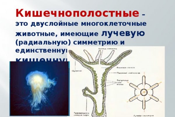 Вывести деньги с кракена